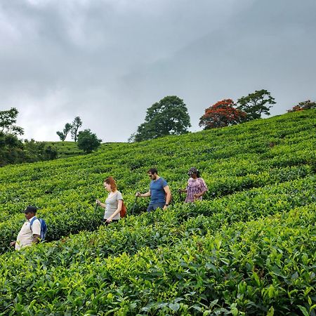 Amber Dale Luxury Hotel & Spa, Munnar Eksteriør billede