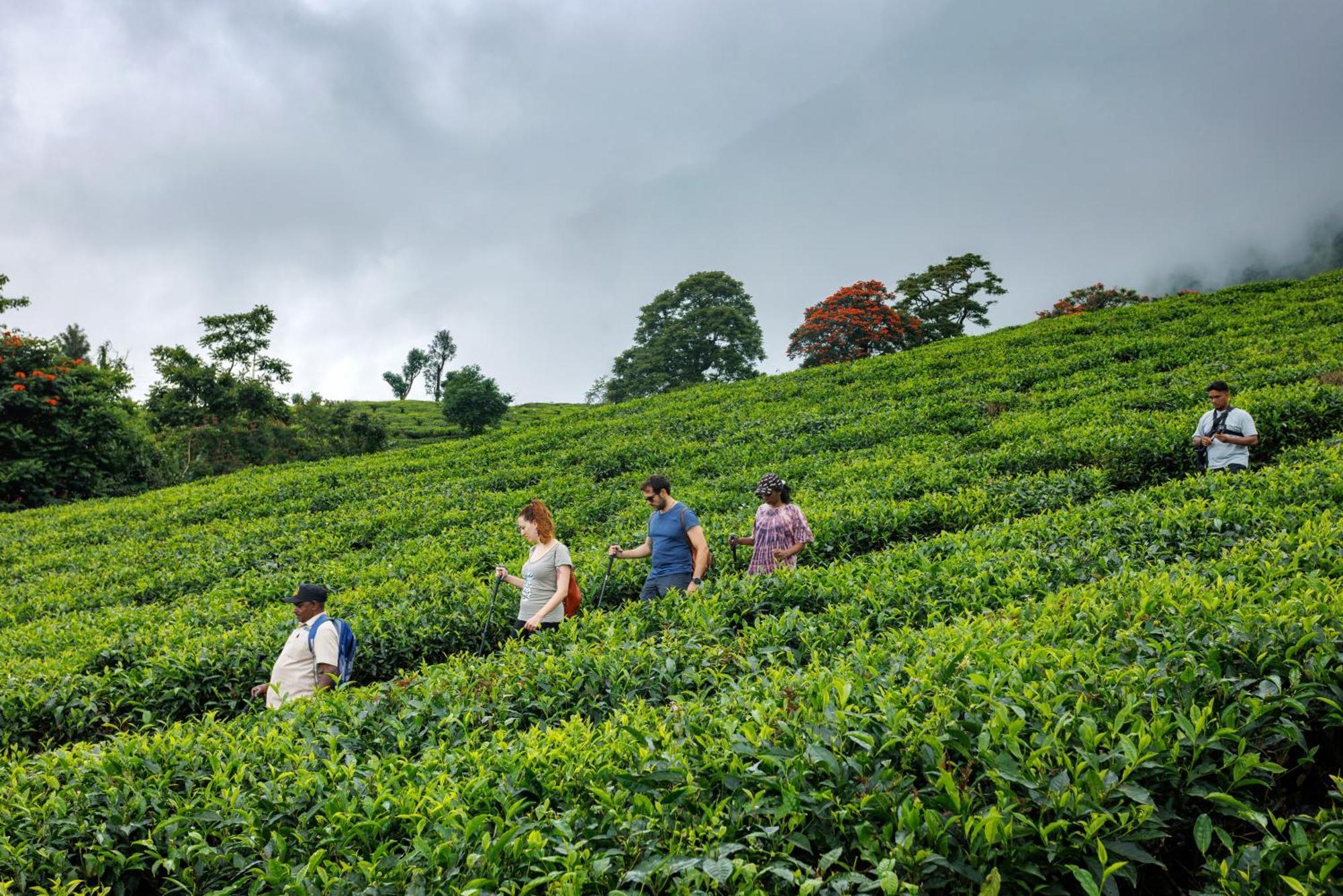 Amber Dale Luxury Hotel & Spa, Munnar Eksteriør billede