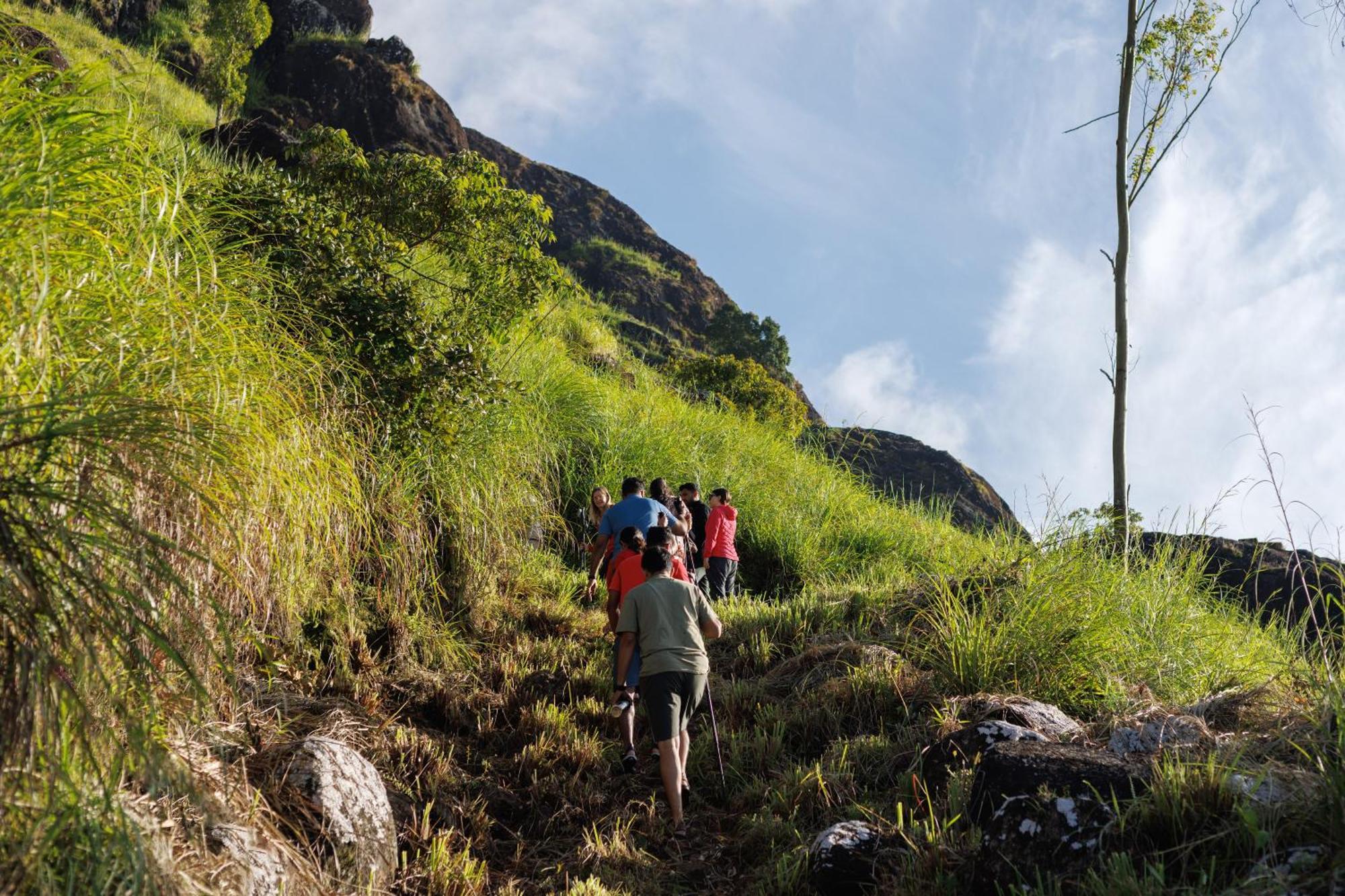 Amber Dale Luxury Hotel & Spa, Munnar Eksteriør billede