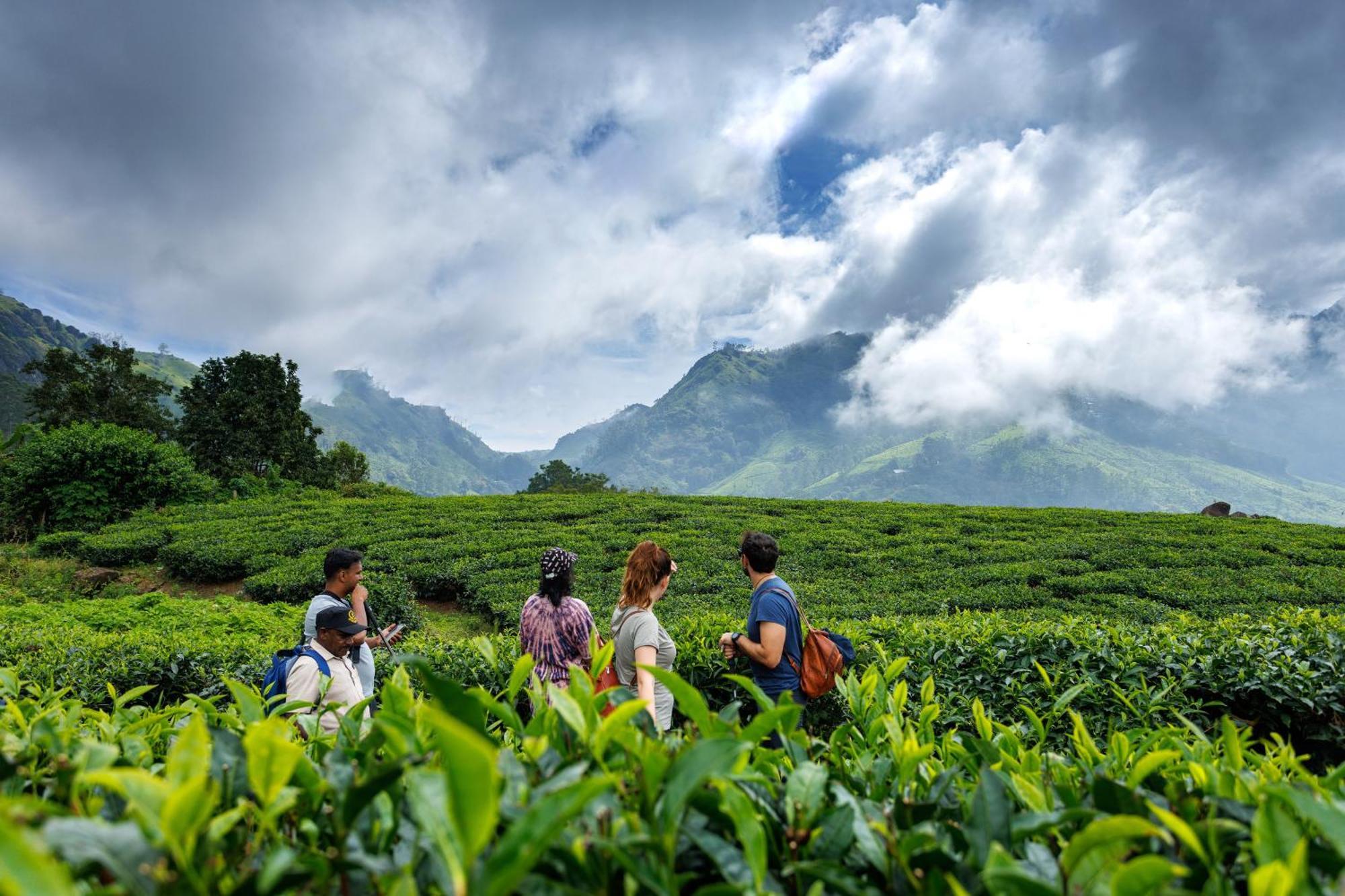 Amber Dale Luxury Hotel & Spa, Munnar Eksteriør billede
