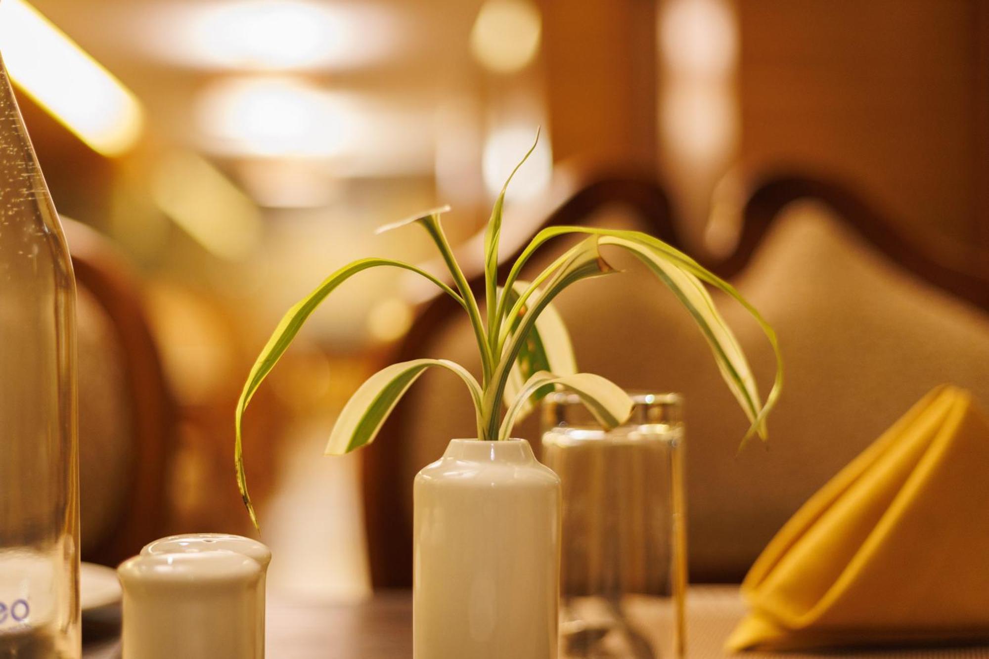 Amber Dale Luxury Hotel & Spa, Munnar Eksteriør billede